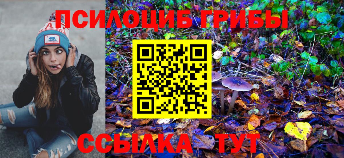 Псилоцибиновые грибы MAGIC MUSHROOMS Россошь